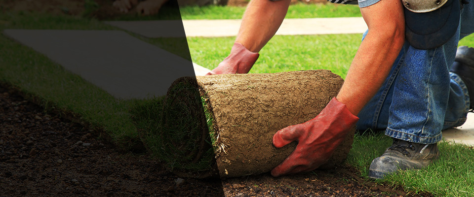 Edgewater Landscapers